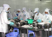US yet to release tax data on VN shrimp