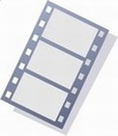 US - final injury determination on PET film, sheet and strip from Brazil, China, and the United Arab Emirates