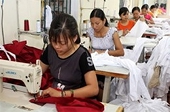 Despite WTO, Vietnam faces problems in garment exports