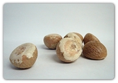 Restricting betel nut import through Mangalore port upheld
