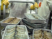 Businesses seek diplomats’ assistance to expand markets