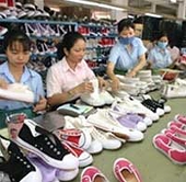 Exports to the Netherlands on the rise