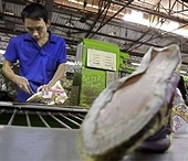 Vietnam’s shoes running into trouble in Brazil?
