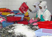Exporters undermining each other