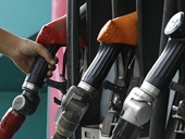 The domestic shipping industry, which is under pressure from drop in volumes due to the global economic slowdown, has urged the 