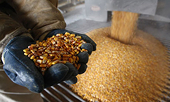 EU prepares trade duties for U.S. biofuels
