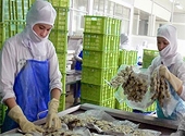 EU welcomes delay to US trade sanctions