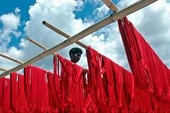 Indian industries beg for protection