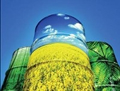 Biodiesel board slams EC duties