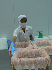 AD lawsuits against Vietnamese firms increase