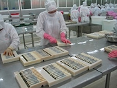 Co-operation agreement between EU and Viet Nam seems likely