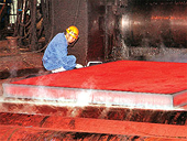 Steel industry divided over safeguard duty