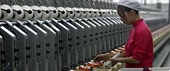 Create awareness to avoid levy of anti-dumping duty - expert