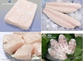 Panel Upholds Order Against Vietnamese Fish