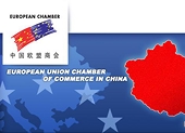 China faces more anti-dumping complaints - EU group