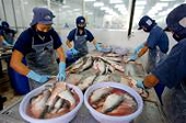 THE INFLUENCE GAME: Catfish plan risks trade war