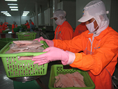 (India) Seafood exporters get US duty relief
