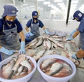 Tra, basa top seafood exports