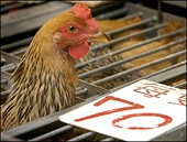 China to safeguard its interests with WTO rules