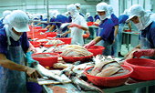 Catfish farmers at disadvantage though exports profitable