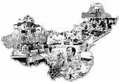 China facing more anti-dumping probes