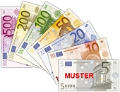 Euro firms' China woes highlighted