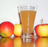 Himachal wants duty hike on Chinese apple concentrate