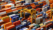 Importers must study exemption notifications carefully