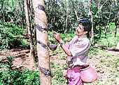 (India) Govt may consider higher subsidy in plantation