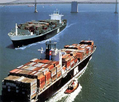 EU  requests  WTO  panel  on  Chinese  export  restrictions  on  raw  materials
