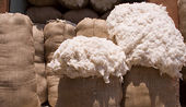 (Pakistan) High cotton prices