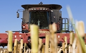 German biodiesel firms say U.S. imports escape duty