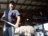 Debate over shrimp tariff is still simmering