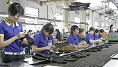 EU tax decision leaves Vietnamese shoemakers on verge of bankruptcy