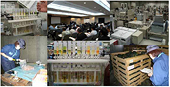 China Imposes Anti-Dumping Measures On Imported Food Additives