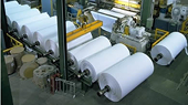 Indian paper industry seeks higher tariff wall to ward off Chinese dragon