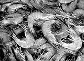 Seafood exporters gear up for dumping duty review