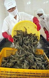 Vietnam tackles US in first WTO case: official media