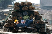 Stop Zeroing in Anti-Dumping Investigations, Boost Trade