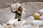EU, Vietnam to Start Free-Trade Talks