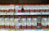 EU investigating claims of China dumping melamine