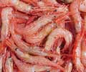 (India) US increases tariff on shrimp imports