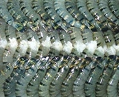 US releases shrimp probe results