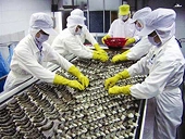 US slashes anti-dumping duties on Vietnamese seafood