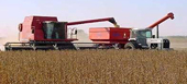 China blocked the import of soybean oil from Argentina