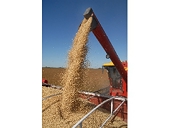 China is still not buying Argentine soyoil