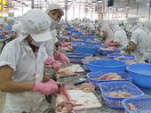 EU protectionism hinders Vietnam exports, trade official says 