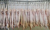 Mexico - Accusations of US meat dumping