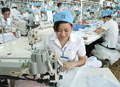 Vietnam enterprises comply with trade rules: EU representative