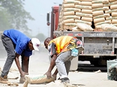 Carib Cement more expensive in Jamaica